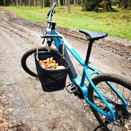 Mlynska Dolina * Wałcz