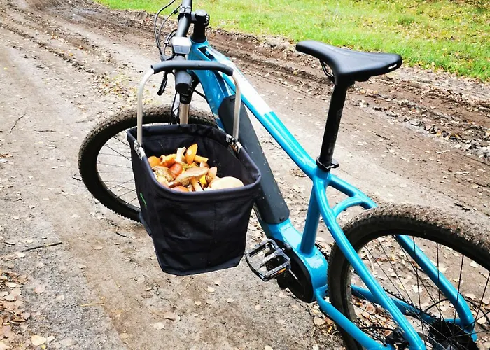 Mlynska Dolina * Wałcz